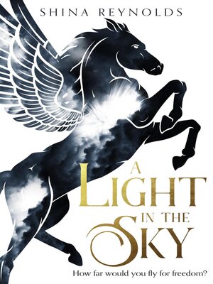A Light in the Sky - ebook